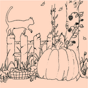 pumpkin and cat on a fence
